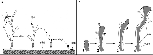 Details are in the caption following the image Details are in the caption following the image