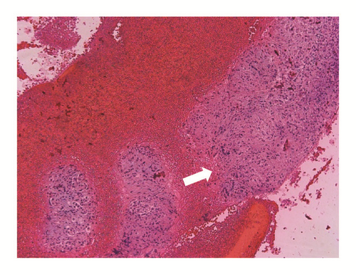 Details are in the caption following the image Details are in the caption following the image