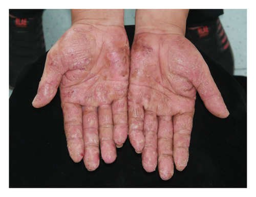 Details are in the caption following the image Details are in the caption following the image