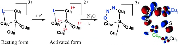N2O Reduction by the μ4-Sulfide-Bridged Tetranuclear CuZ Cluster Active Site