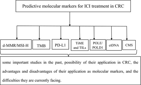 Predictive molecular markers for the treatment with immune checkpoint inhibitors in colorectal cancer