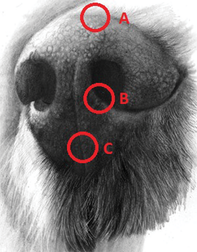 Details are in the caption following the image Details are in the caption following the image