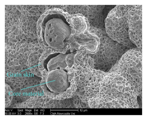 Details are in the caption following the image