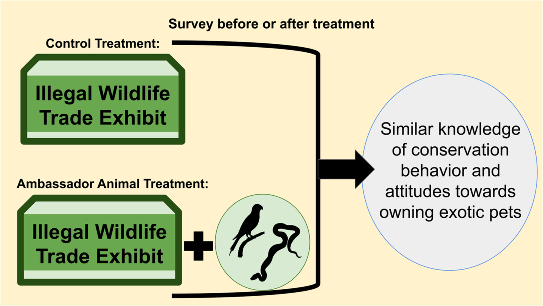 Ambassador Animals Do Not Have a Clear Effect on Visitor Conservation Knowledge and Attitudes Toward Exotic Pets at a Zoo Exhibit