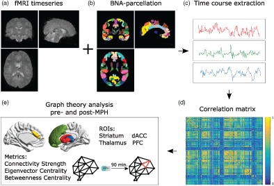 Effects of a single-dose methylphenidate challenge on resting-state functional connectivity in stimulant-treatment naive children and adults with ADHD
