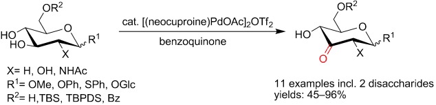 Catalytic Regioselective Oxidation of Glycosides