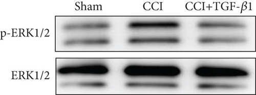 Details are in the caption following the image