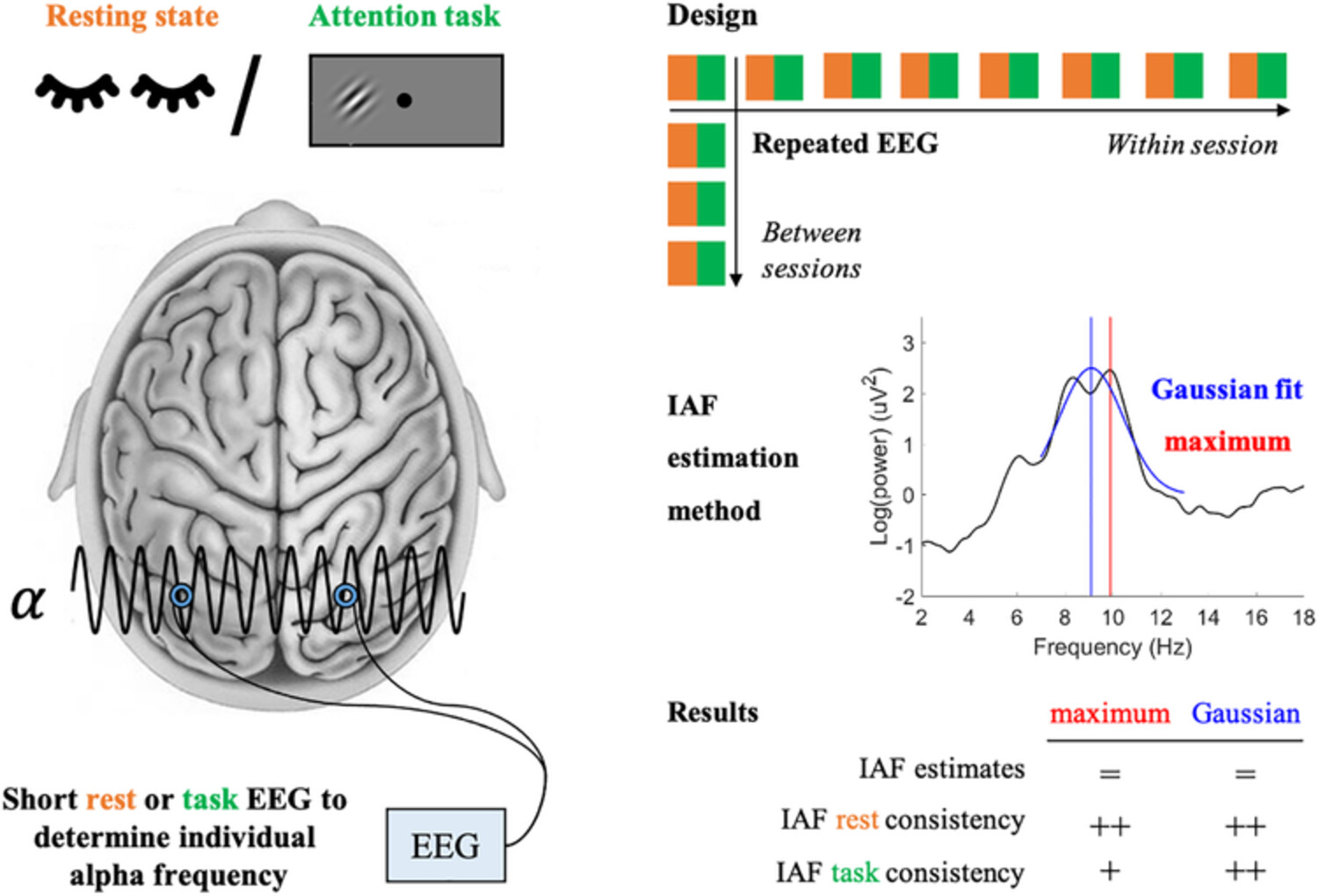 Calibrating rhythmic stimulation parameters to individual electroencephalography markers: The consistency of individual alpha frequency in practical lab settings