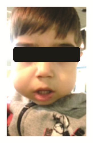 Details are in the caption following the image Details are in the caption following the image
