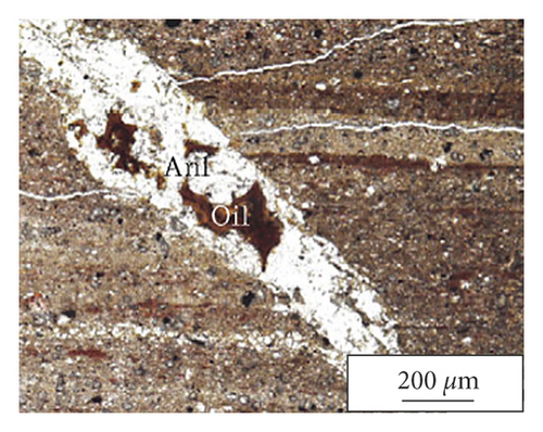 Details are in the caption following the image