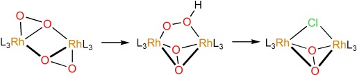 Stabilization of the Hydroperoxido Ligand: A 1κO,2κO′ Dimetallic Coordination Mode