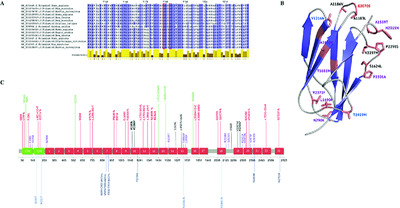 De novo mutations in FLNC leading to early-onset restrictive cardiomyopathy and congenital myopathy