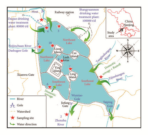 Details are in the caption following the image Details are in the caption following the image