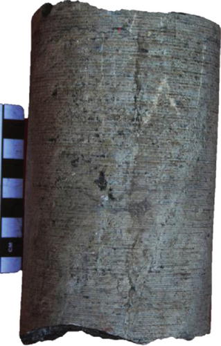 Details are in the caption following the image