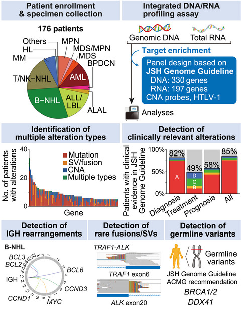 Feasibility and clinical utility of comprehensive genomic profiling of hematological malignancies