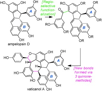 Harnessing Quinone Methides: Total Synthesis of (±)-Vaticanol A