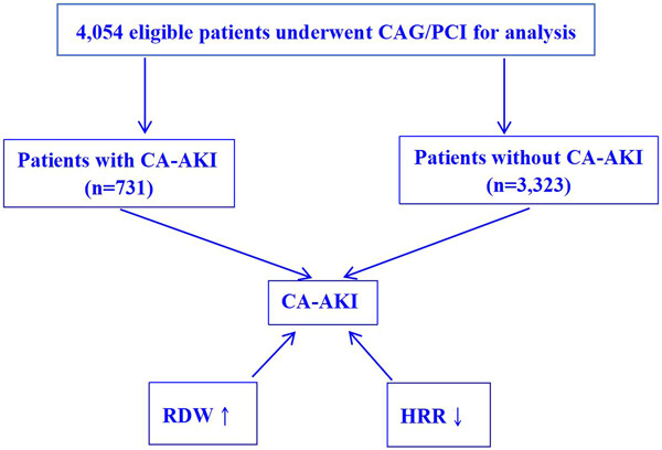 Association of red blood cell distribution width and hemoglobin-to-RDW ratio with contrast-associated acute kidney injury in patients undergoing coronary angiography: A retrospective study
