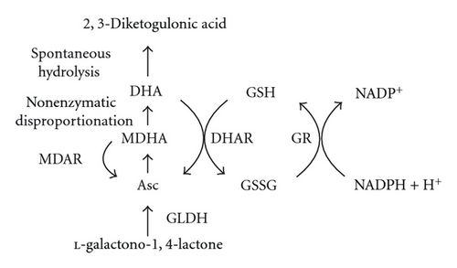 Details are in the caption following the image