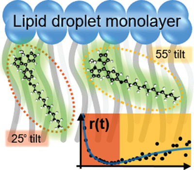 Time-Resolved Fluorescence Anisotropy of a Molecular Rotor Resolves Microscopic Viscosity Parameters in Complex Environments