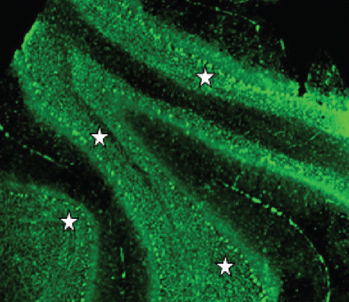 Details are in the caption following the image