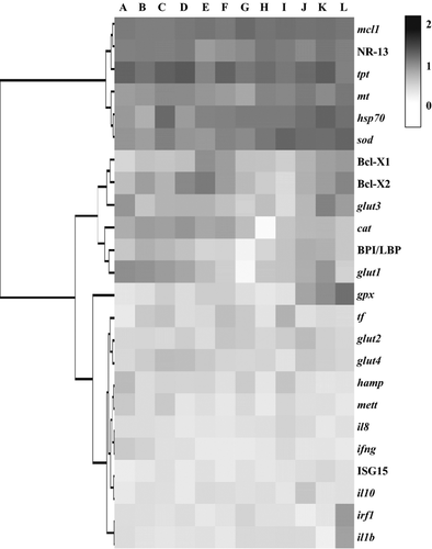 Details are in the caption following the image Details are in the caption following the image