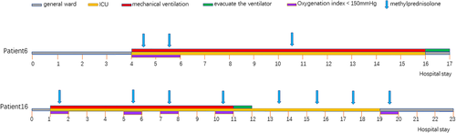 Details are in the caption following the image Details are in the caption following the image