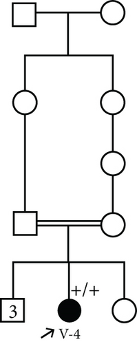 Details are in the caption following the image
