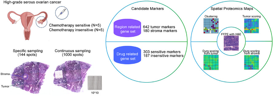 Spatially resolved proteomics surveys the chemo-refractory proteins related to high-grade serous ovarian cancer