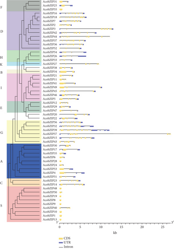 Details are in the caption following the image Details are in the caption following the image