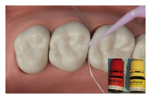Details are in the caption following the image Details are in the caption following the image