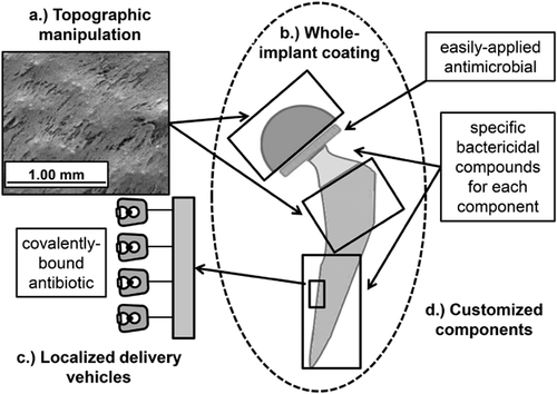 Details are in the caption following the image