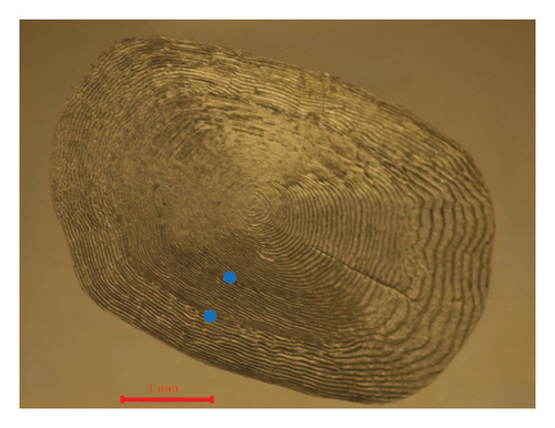 Details are in the caption following the image