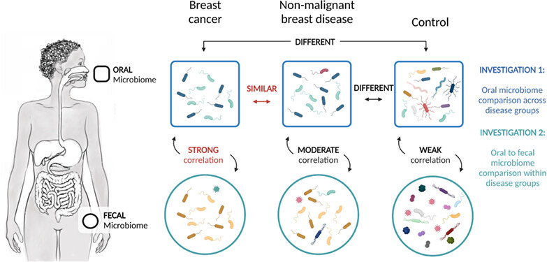 The oral microbiome and breast cancer and nonmalignant breast disease, and its relationship with the fecal microbiome in the Ghana Breast Health Study