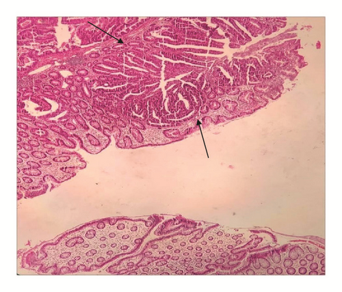 Details are in the caption following the image Details are in the caption following the image