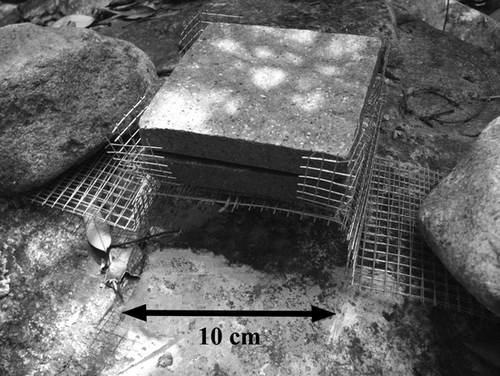 Details are in the caption following the image Details are in the caption following the image