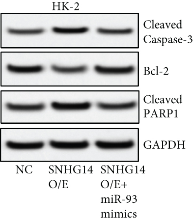 Details are in the caption following the image