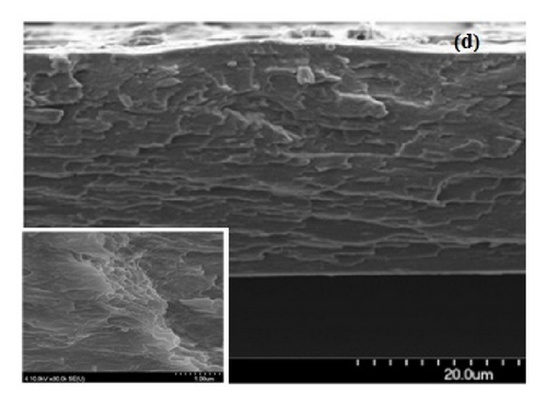 Details are in the caption following the image