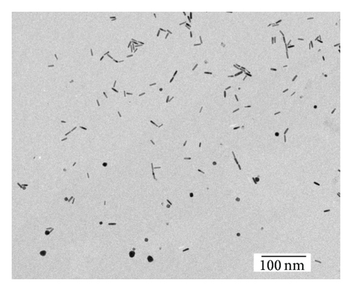 Details are in the caption following the image