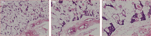 Details are in the caption following the image Details are in the caption following the image