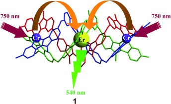 Near-Infrared→Visible Light Upconversion in a Molecular Trinuclear d–f–d Complex