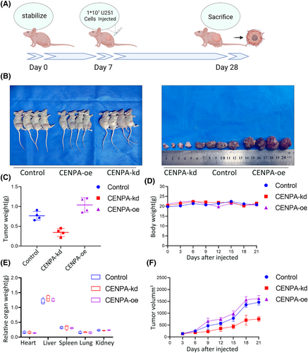 Details are in the caption following the image Details are in the caption following the image