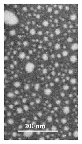 Details are in the caption following the image