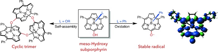 meso-Hydroxysubporphyrins: A Cyclic Trimeric Assembly and a Stable meso-Oxy Radical