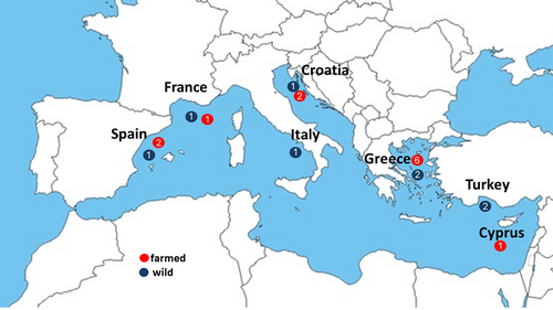 Details are in the caption following the image Details are in the caption following the image