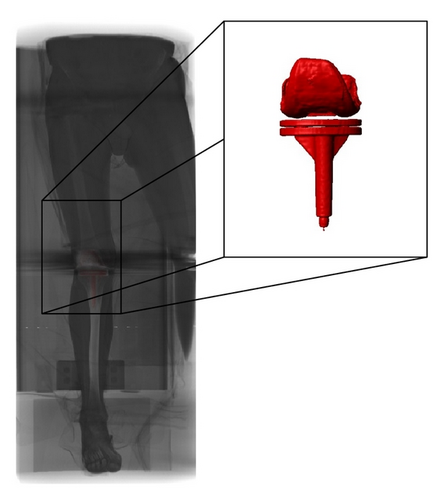 Details are in the caption following the image