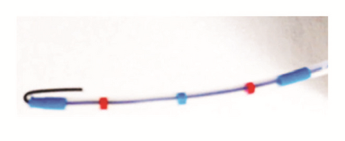 Details are in the caption following the image Details are in the caption following the image