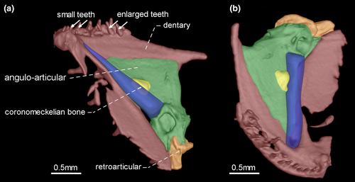 Details are in the caption following the image Details are in the caption following the image