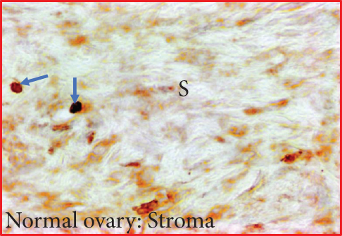 Details are in the caption following the image