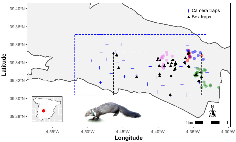 Occupancy data improves parameter precision in spatial capture–recapture models