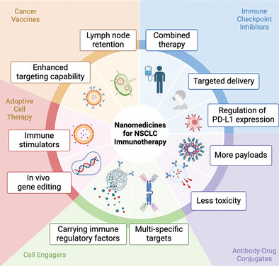 Nanomedicine in Immunotherapy for Non-Small Cell Lung Cancer: Applications and Perspectives